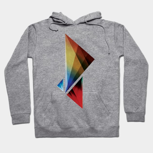 Triangularity Means we Dream in Colors Hoodie by barrettbiggers